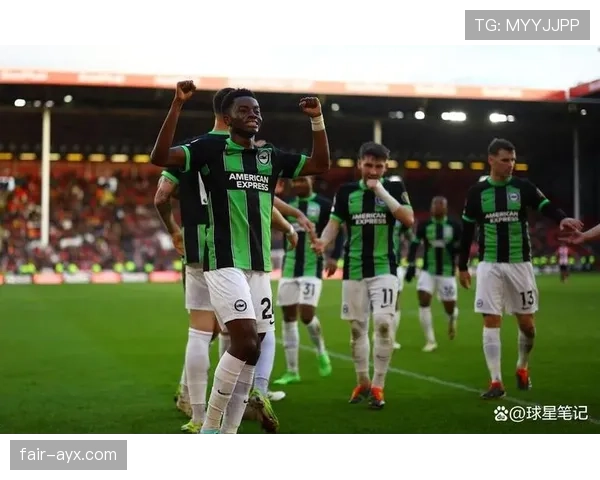 谢菲尔德联转会窗积极引援，阵容补强引发球迷高度期待